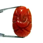 Natural Red Coral (Moonga) - 7.81 Carat