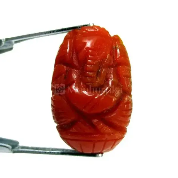 Natural Red Coral (Moonga) - 7.81 Carat