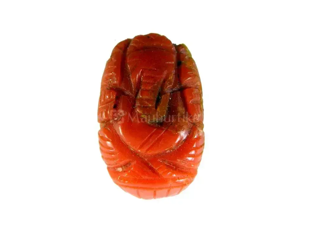 Natural Red Coral (Moonga) - 7.81 Carat