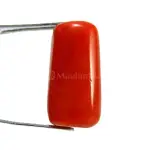 Natural Red Coral (Moonga) - 7.84 Carat