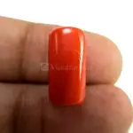 Natural Red Coral (Moonga) - 7.84 Carat