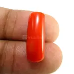 Natural Red Coral (Moonga) - 7.91 Carat
