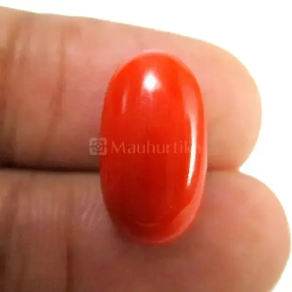 Natural Red Coral (Moonga) - 8.07 Carat
