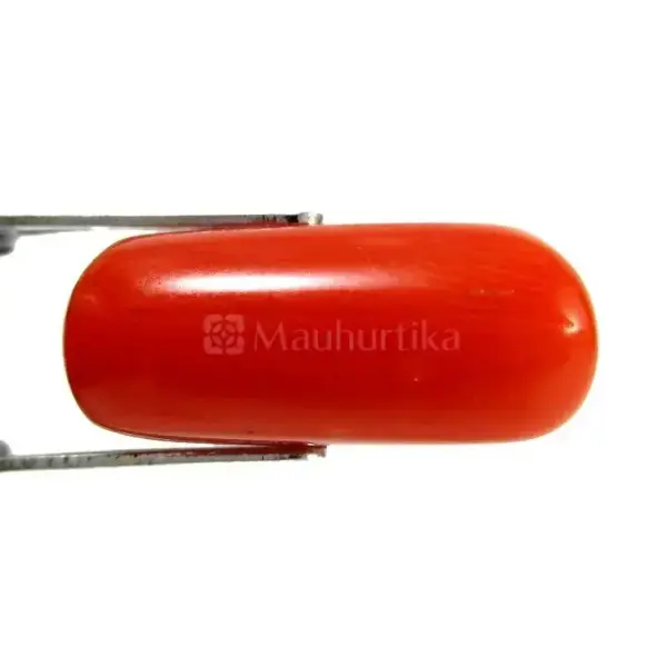 Natural Red Coral (Moonga) -9.12 Carat