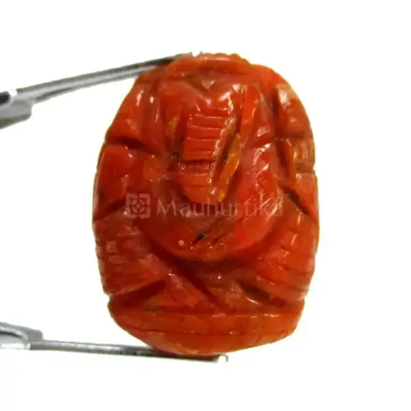 Natural Red Coral (Moonga) -9 Carat