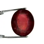 Natural Ruby (Manik) -11.53 Carat