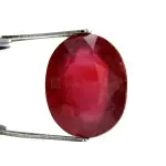 Natural Ruby (Manik) -11.69 Carat