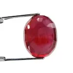Natural Ruby (Manik) -11.69 Carat