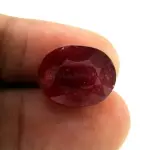 Natural Ruby (Manik) -11.69 Carat