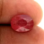 Natural Ruby (Manik) - 2.57 Carat