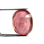 Natural Ruby (Manik) - 2.73 Carat