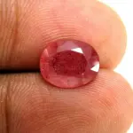 Natural Ruby (Manik) - 2.84 Carat