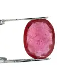Natural Ruby (Manik) - 3.18 Carat