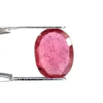 Natural Ruby (Manik) - 3.18 Carat