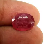 Natural Ruby (Manik) - 3.18 Carat