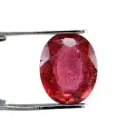 Natural Ruby (Manik) - 3.37 Carat