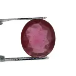 Natural Ruby (Manik) - 3.44 Carat