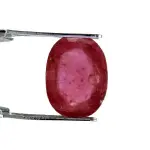 Natural Ruby (Manik) - 3.5 Carat