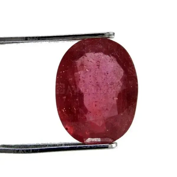Natural Ruby (Manik) -3.52 Carat