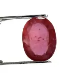 Natural Ruby (Manik) - 3.65 Carat