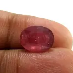 Natural Ruby (Manik) - 3.65 Carat