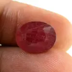 Natural Ruby (Manik) - 3.89 Carat