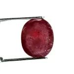 Natural Ruby (Manik) - 4.46 Carat