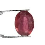 Natural Ruby (Manik) - 4.47 Carat