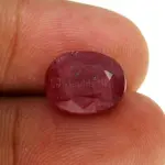 Natural Ruby (Manik) -4.92 Carat