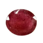 Natural Ruby (Manik) -4 Carat