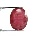 Natural Ruby (Manik) -5.66 Carat