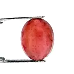 Natural Ruby (Manik) - 5.68 Carat