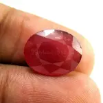 Natural Ruby (Manik) - 5.68 Carat