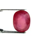 Natural Ruby (Manik) -5.88 Carat