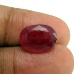 Natural Ruby (Manik) - 6.33 Carat