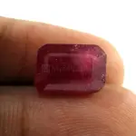 Natural Ruby (Manik) - 6.60 Carat