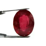 Natural Ruby (Manik) - 7.56 Carat