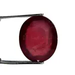 Natural Ruby (Manik) -7.68 Carat