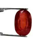Natural Ruby (Manik) - 7.72 Carat