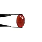 Natural Ruby (Manik) - 7.72 Carat