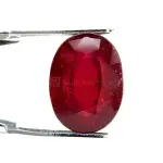 Natural Ruby (Manik) -8.80 Carat
