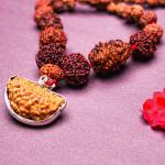 1-14 Mukhi Siddha Rudraksha Mala (Indonesian Beads)