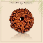 10 Mukhi Rudraksha