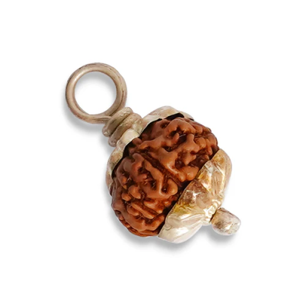 10 Mukhi Rudraksha