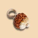 10 Mukhi Rudraksha