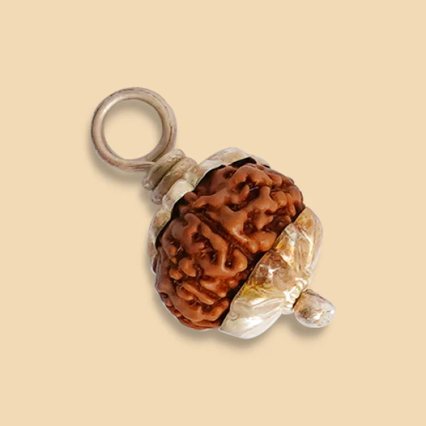 10 Mukhi Rudraksha