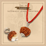 10 Mukhi Rudraksha