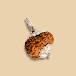 12 Mukhi Rudraksha