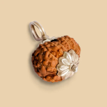 12 Mukhi Rudraksha