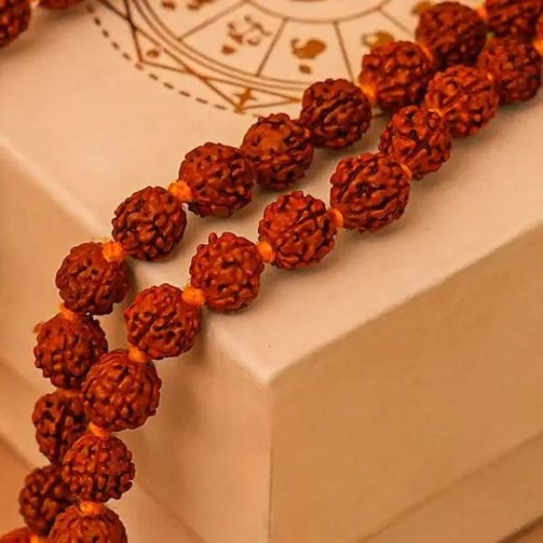 5 Mukhi Rudraksha Mala